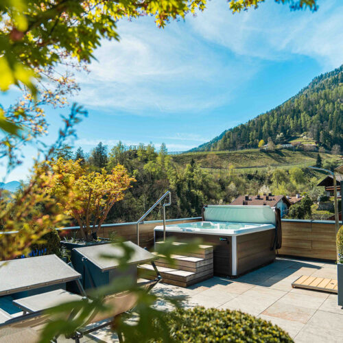hotel-sonnegg-32